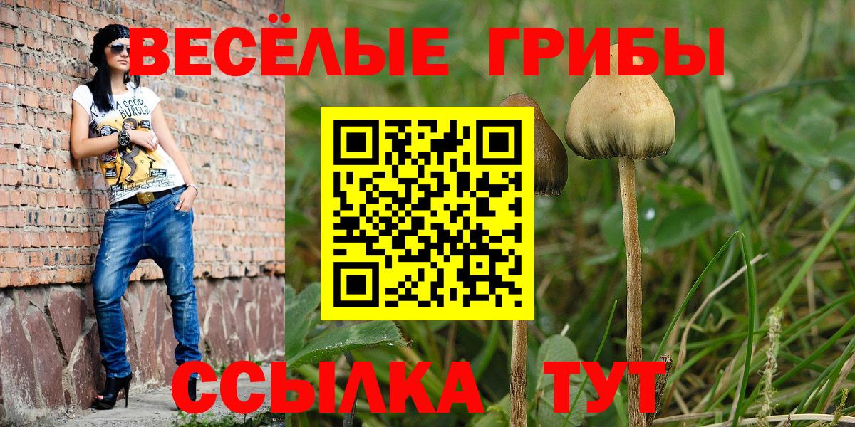 Ессентуки  Псилоцибиновые грибы Psilocybe  купить   Вход с VPN 